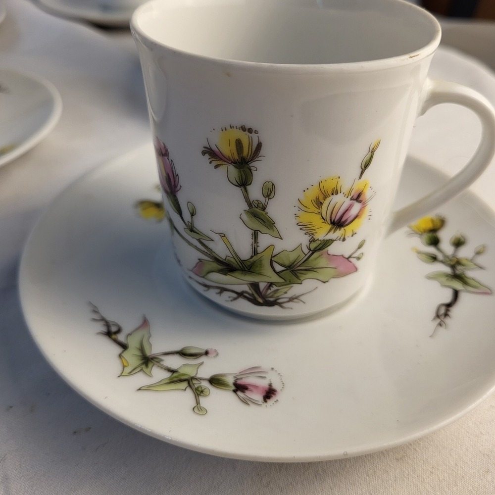 5 Winterling Porcelain Demitasse Cups and Saucers Knapweed Special Edition Mobil